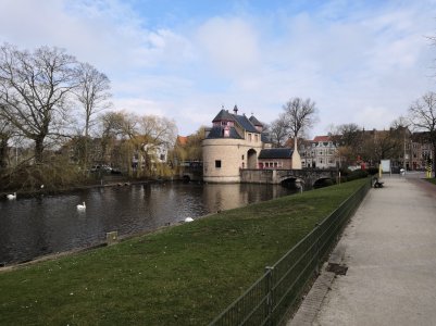 IMG_20180326_115049.jpg