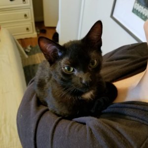 20180225_121841.jpg
