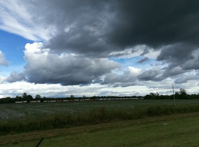 IMG_20171008_153048.jpg