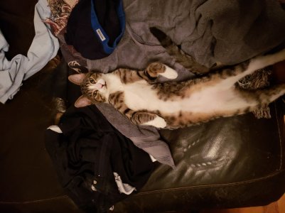 20180314_221809.jpg