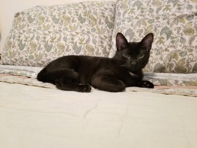 20180225_123016.jpg