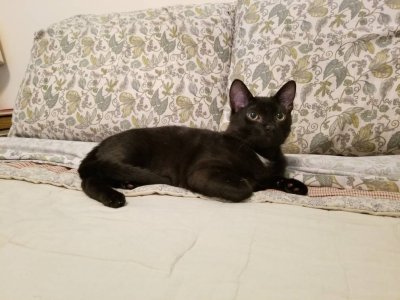 20180225_122950.jpg