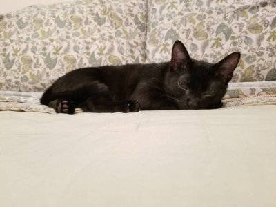 20180225_123136.jpg