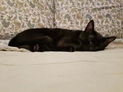 20180225_123407.jpg