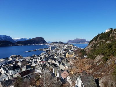 20180329_115631.jpg