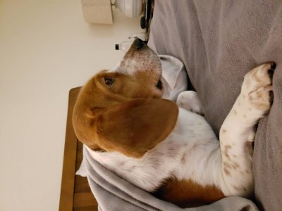 20180330_013431.jpg