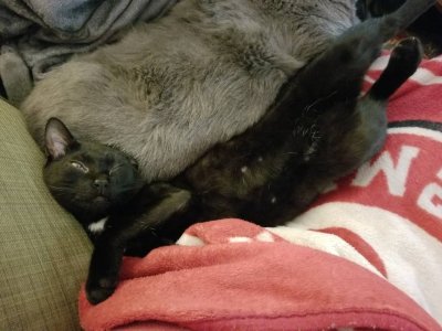 20180330_133559.jpg