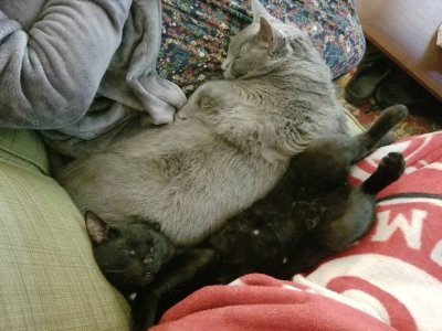 20180330_134742.jpg