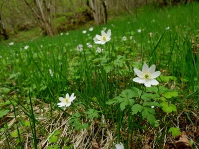 20180514_151625.jpg