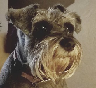20180413_023432.jpg