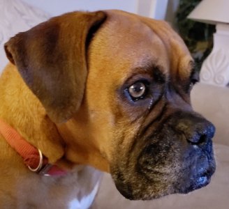 20180420_014205.jpg
