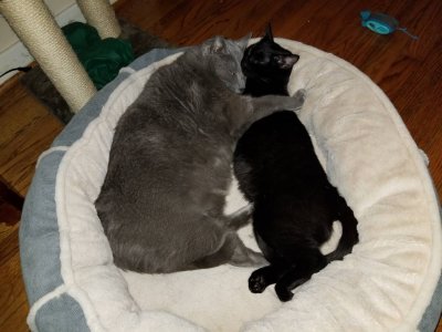 20180524_143824.jpg