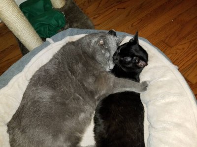 20180524_143753.jpg