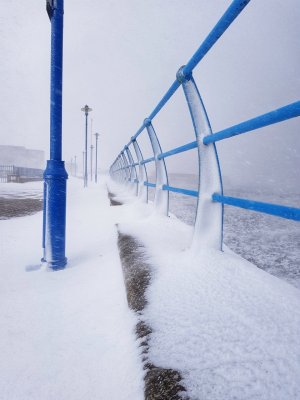 20180301_102125-01.jpg