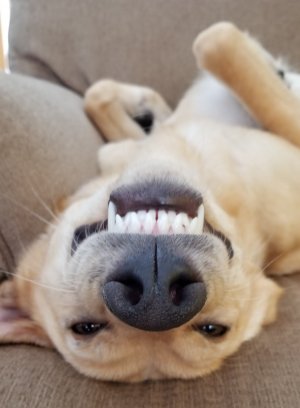 20180401_105237.jpg