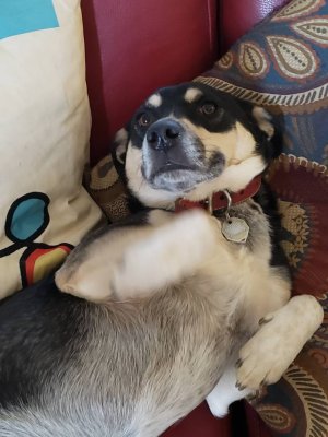 20180331_161210.jpg
