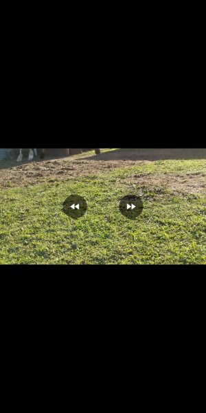 Screenshot_20180301-185824.jpg