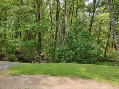 IMG_20180525_122330.jpg