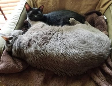 20180525_195824.jpg