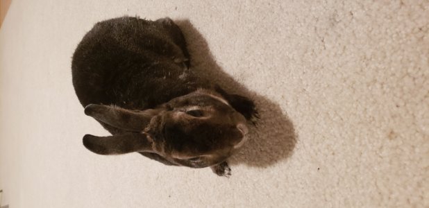 20180331_215922.jpg