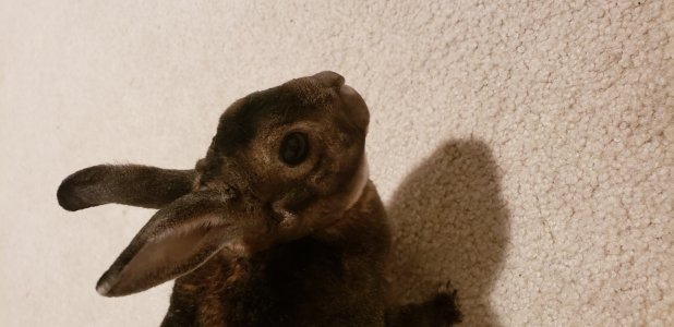 20180331_215934.jpg