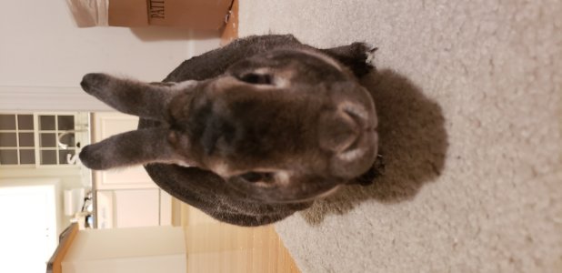 20180331_220230.jpg