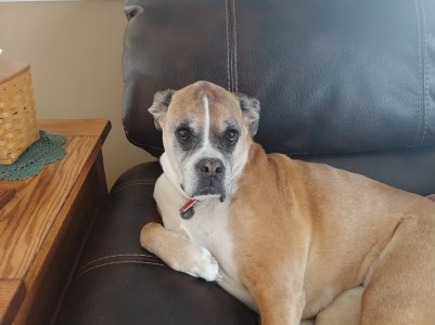 20180401_165840.jpg