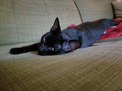 20180526_164635.jpg