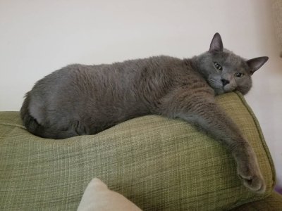 20180526_164802.jpg