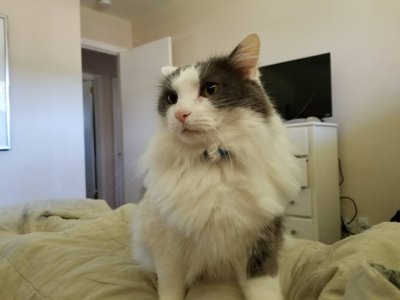 20180303_080724.jpg