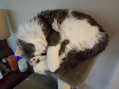 20180526_171037.jpg