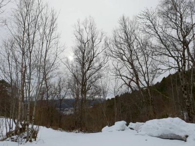 20180404_111307.jpg