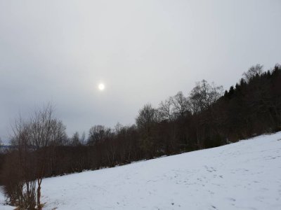 20180403_180054.jpg