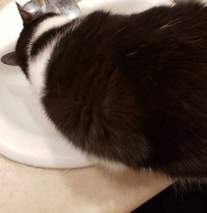 20180404_184137.jpg