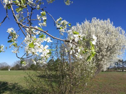 IMG_20180302_090014.jpg