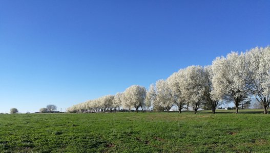 IMG_20180302_081552.jpg
