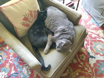 20180531_134250.jpg