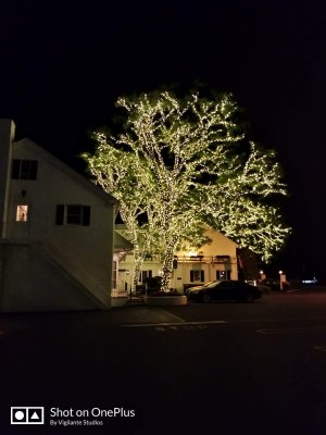 IMG_20180525_214632.jpg