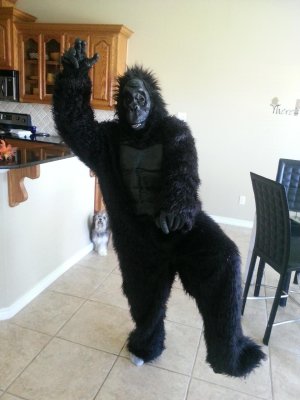 20121025_143930_5_bestshot.jpg