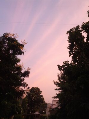 IMG_20121003_183311.jpg