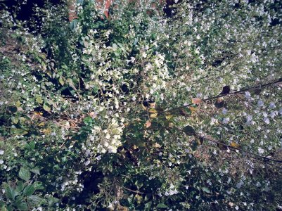 20121001_114847.jpg