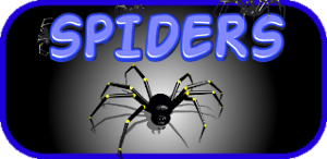 spiders-android-game.png spiders-android-game.png