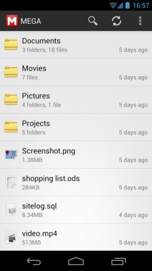 Screenshot_2013-02-11-16-57-21.jpg
