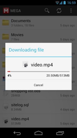 Screenshot_2013-02-11-16-59-07.jpg