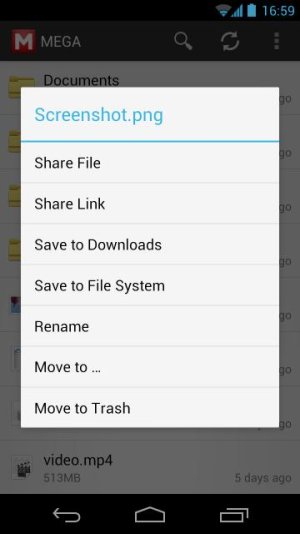 Screenshot_2013-02-11-16-59-20.jpg