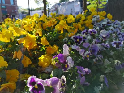 IMG_20180601_182015.jpg