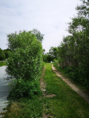 IMG_20180602_114607.jpg