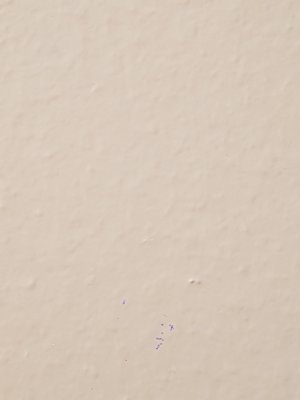 20180604_212632~01.jpg