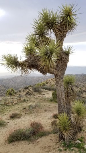 20180406_183016_edited.jpg