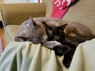 20180407_151039.jpg